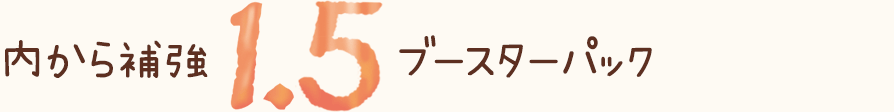 内から補強1.5ブースターパック